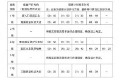 跨年夜武汉地铁延